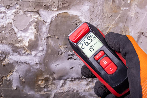 Certified Mold Removal in Bovina, TX