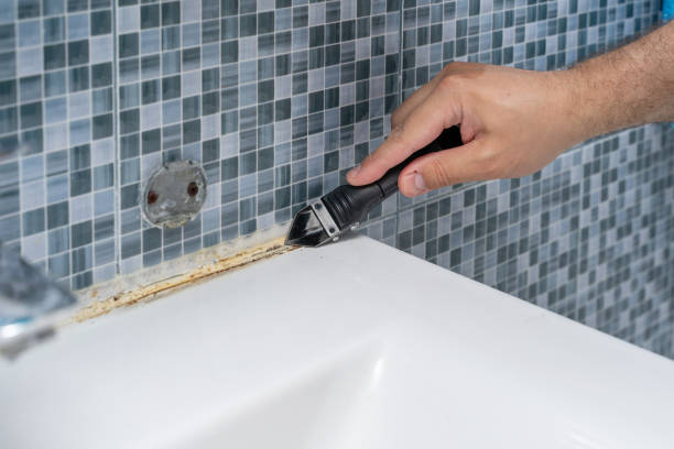 Best Affordable Mold Removal  in Bovina, TX