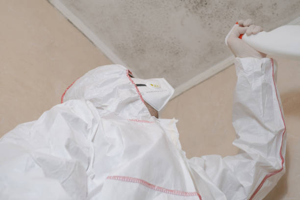 Best Residential Mold Removal  in Bovina, TX
